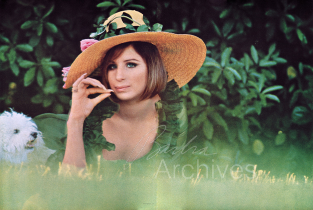Streisand and Sadie in grass