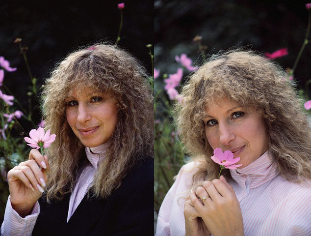 Streisand smelling flowers